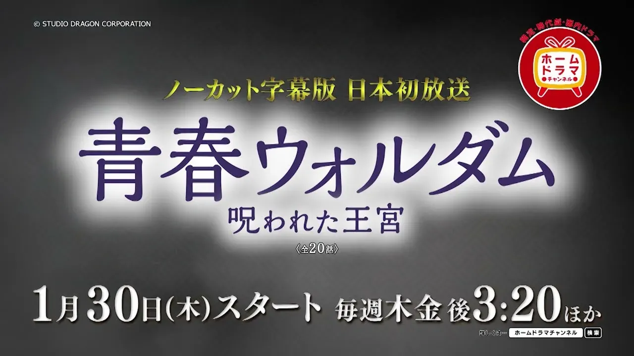 【動画】『青春ウォルダム』パク・ヒョンシク主演ドラマ、日本初放送！