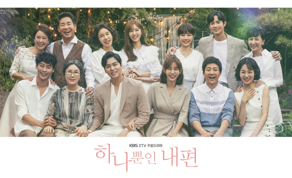 韓国ドラマ「하나뿐인 내편（たった一人の私の味方）」KBS公式ポスター